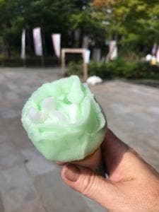 なまはげ館 ババヘラアイス