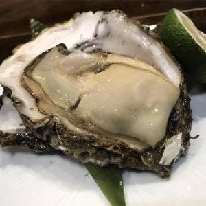 酒膳 松乃