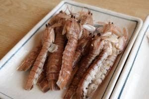 まるは本館