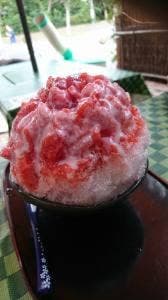 茶の蔵きむら園