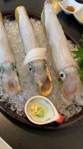 呼子朝市いか処 歳香亭