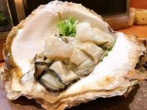 魚菜 もも