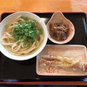 セルフ 三枝うどん