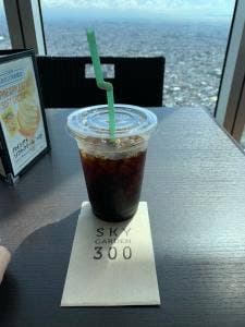 SKY GARDEN 300