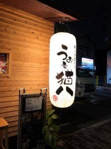 うお家 猫八