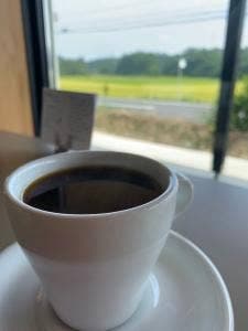 in vitro coffee roasters