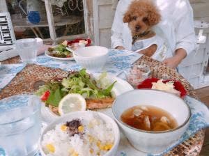 neige cafe