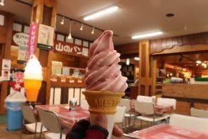 山のカフェ 2237 北八ヶ岳ロープウェイ