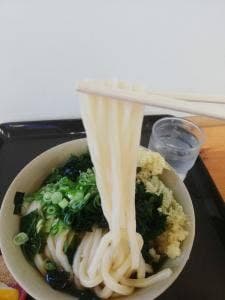 うどん元匠 東かがわ店
