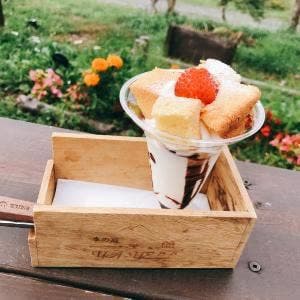 季の庭 YA-YELL