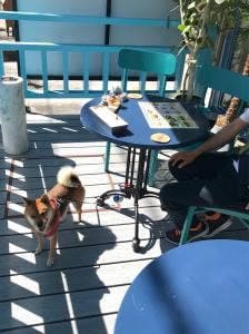 イタリアン KUROKIYA