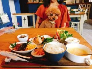わんストーンカフェ