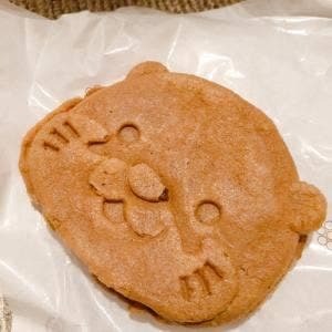 AQUA 和 伊勢シーパラダイス