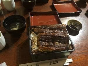 川入園