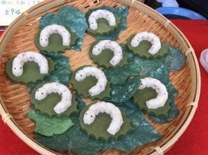 かいこの王国 富岡城町店