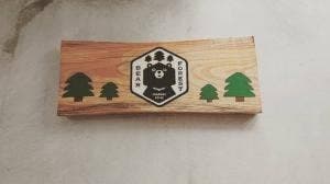 FOREST BEAR