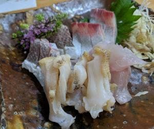 寿し秀