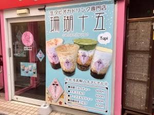珊瑚十五