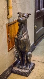 BAR K-9