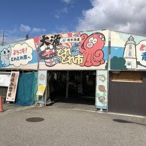 堺とれとれ市