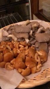 キッチン花水木
