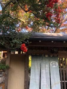 茶房むべ