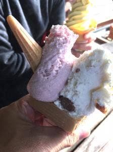 MooMooまきば 平松牧場