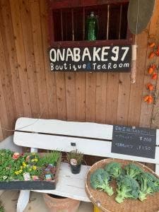 Onabake97