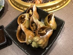 ブルスタオラムー新発寒店
