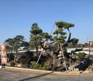 手打そば 五番