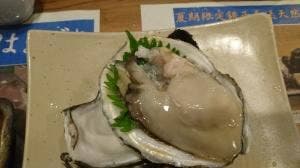 はまっ娘