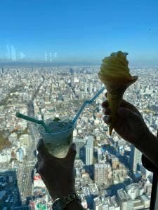 SKY GARDEN 300