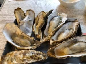 三陸港町酒場 女川男