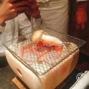 舞桜