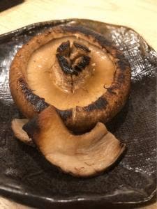 恵風和暢 あっと