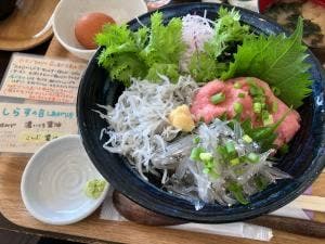 ワタツミ