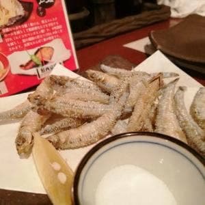 魚蔵 伏見町店