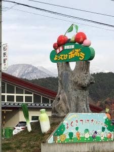 よってけポポラ