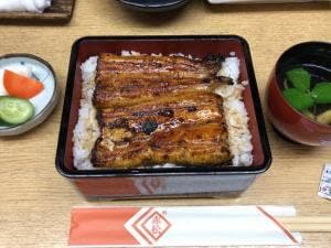 赤松