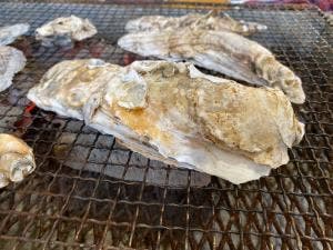 牡蠣焼き 八光