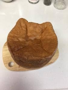 ねこねこ食パン イオンモール八千代緑が丘店