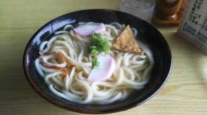 やな川うどん