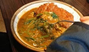 カレーハウスCoCo壱番屋 岡山岡南店
