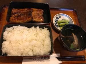 小坂鯉店
