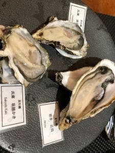 Firenze Sake Oyster & Awa