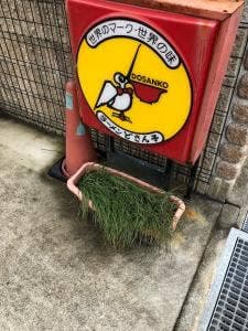 どさん子 田辺店