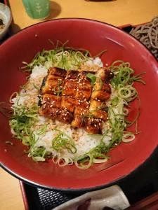 お食事処 さくら亭