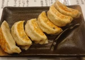 肉汁餃子製作所ダンダダン酒場 稲田堤店