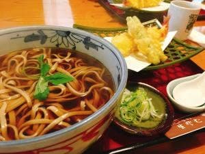 第一藤駒