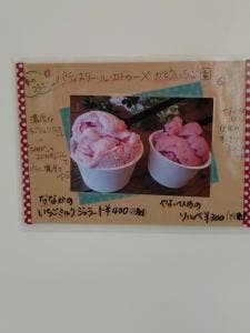 かとういちご園